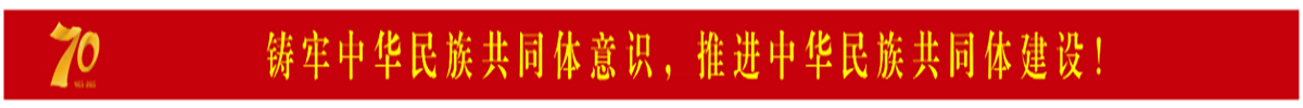 ="铸牢中华民族共同体意识，推进中华民族共同体建设!"